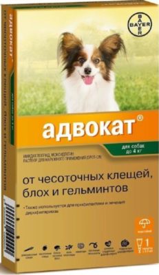 ТОП-13 лучшие капли от клещей для собак: рейтинг, как выбрать, отзывы ...